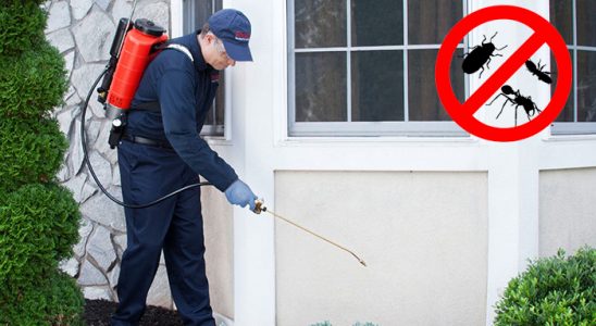 Felahiye Akrep İlaçlama böcek ilaçlama ve haşere kontrolü — ilaclama-tr.com